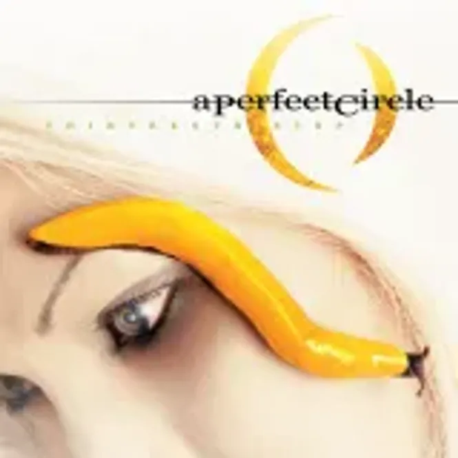 Hovedbilde A Perfect Circle - Thirteenth Step (CD)