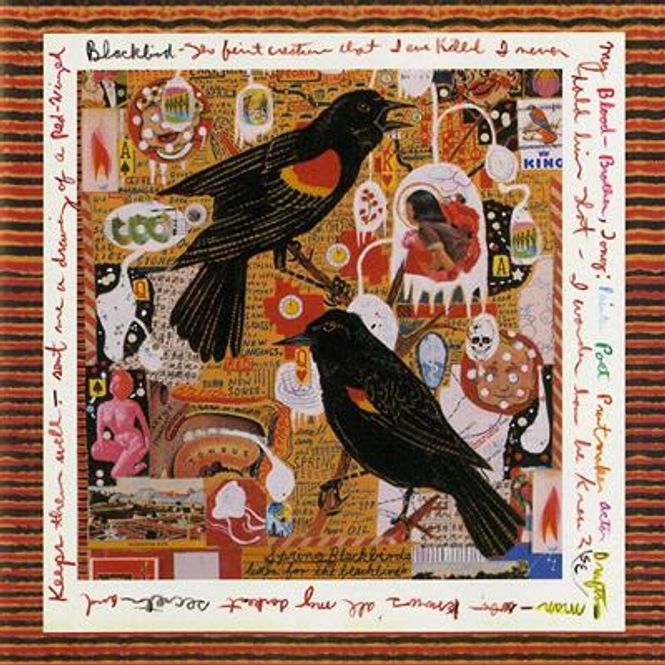 Hovedbilde Steve Earle - Just An American Boy - Live (2CD)