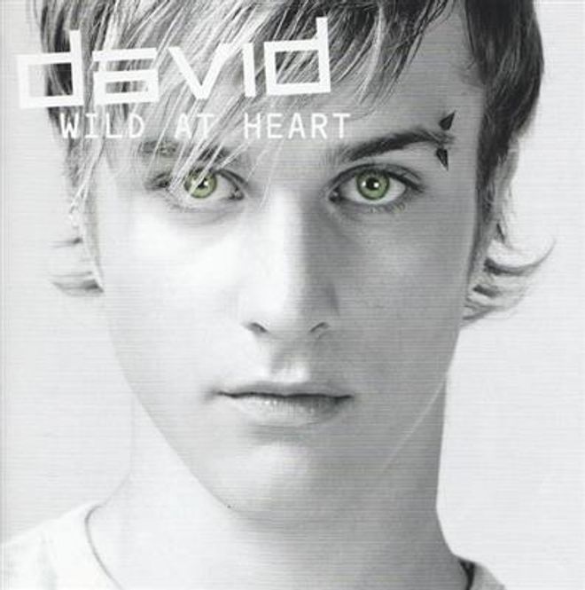Hovedbilde David - Wild At Heart (CD)