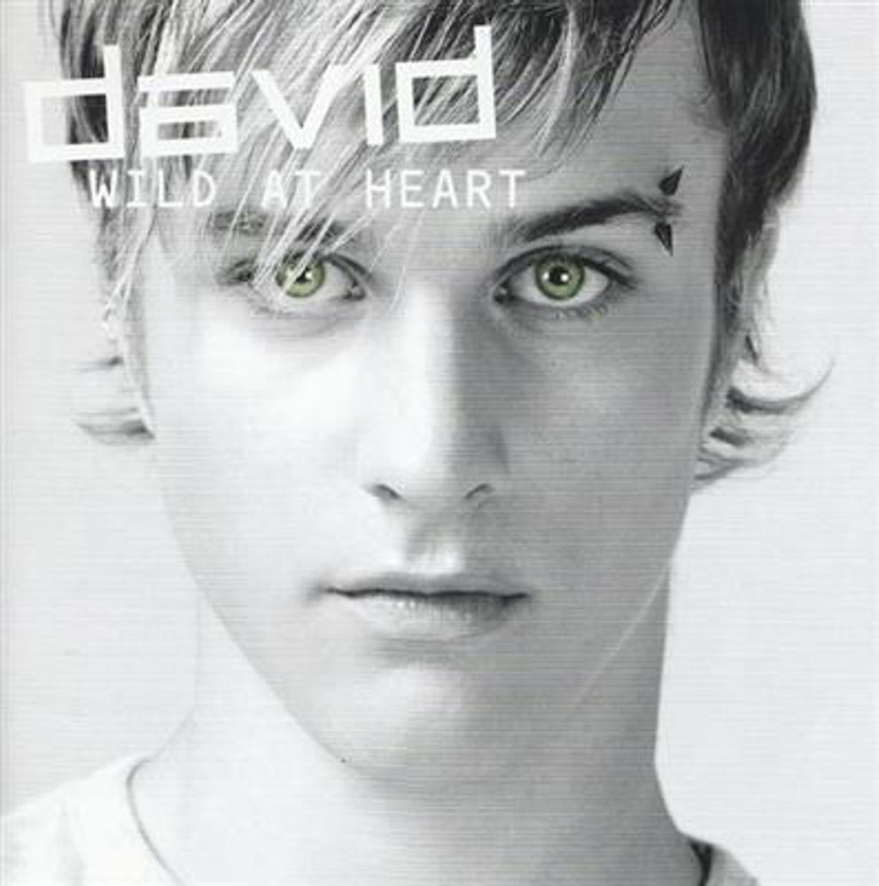 David - Wild At Heart (CD)
