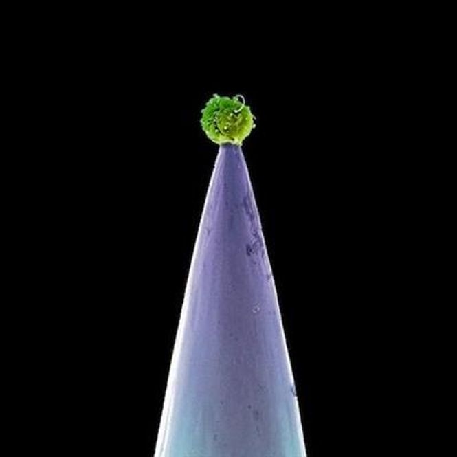 Hovedbilde Peter Gabriel - New Blood (CD)