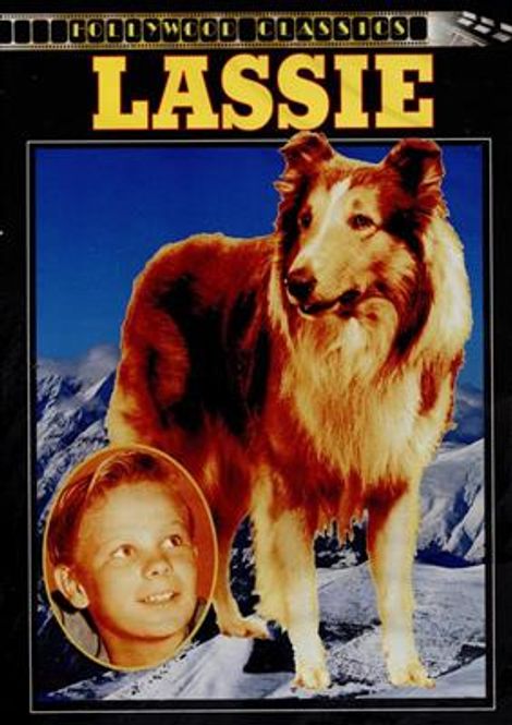 Hovedbilde Lassie (1951) (DVD)