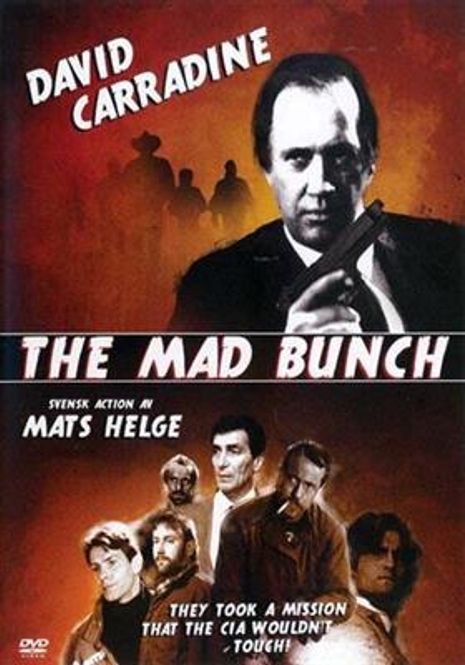Hovedbilde The Mad Bunch (Import) (DVD)