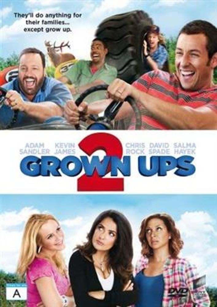 Grown Ups 2 (DVD)