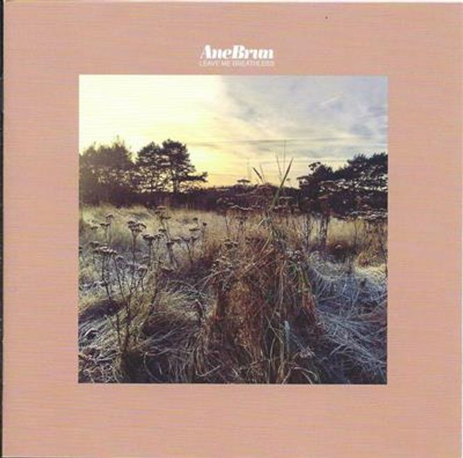 Hovedbilde Ane Brun - Leave Me Breathless (CD)