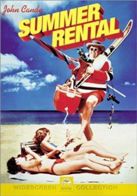 Hovedbilde Ferie Med Forviklinger (Summer Rental) (DVD)
