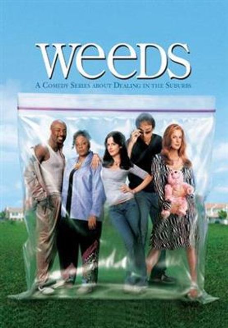 Hovedbilde Weeds - Sesong 1 (DVD)