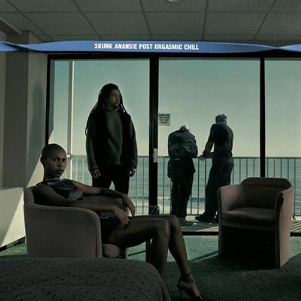 Skunk Anansie - Post Orgasmic Chill (CD)