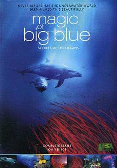 Hovedbilde Magic Of Big Blue (DVD)