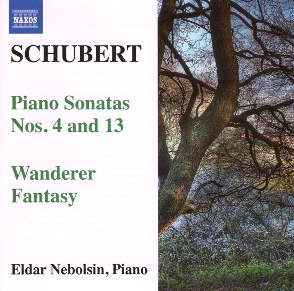 Schubert, Eldar Nebolsin  Piano Sonatas Nos. 4 And 13  Wanderer Fantasy (CD)
