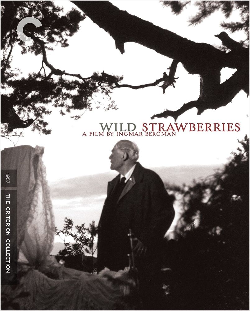 Wild Strawberries (Smultronstället) (DVD)